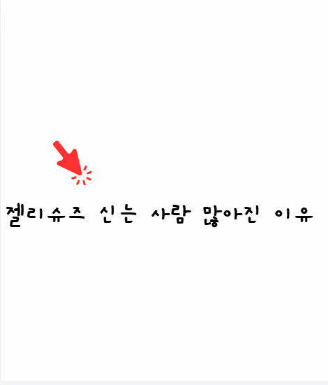 젤리슈즈
