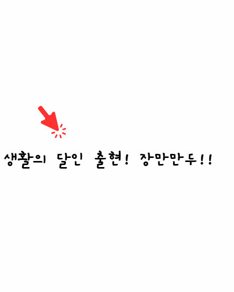 장만만두