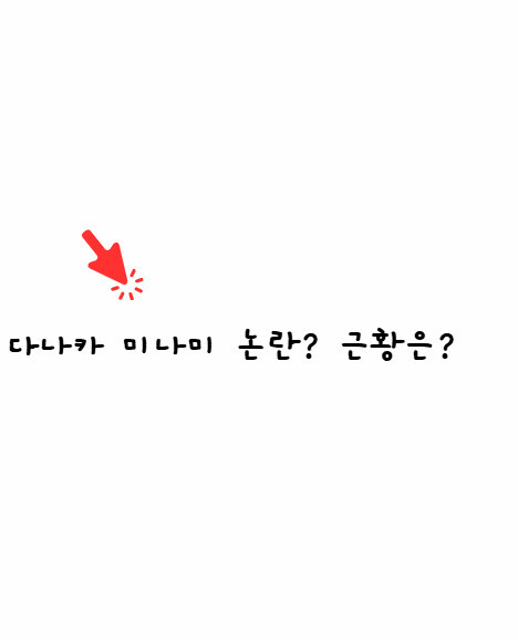 다나카 미나미