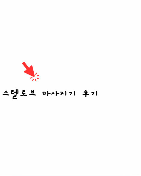 스텔로브 마사지기