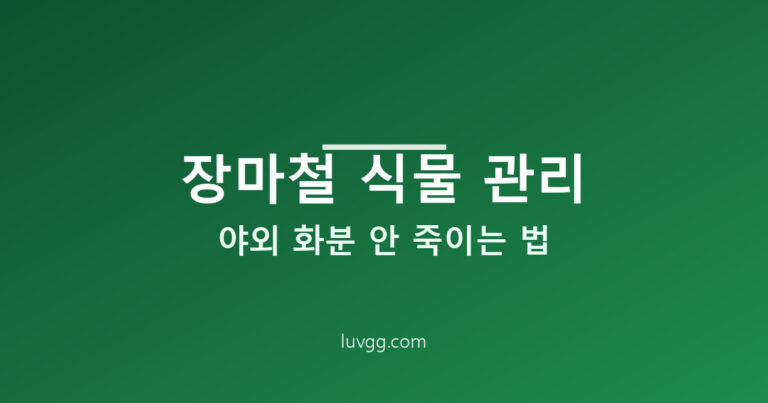 장마철 식물 관리