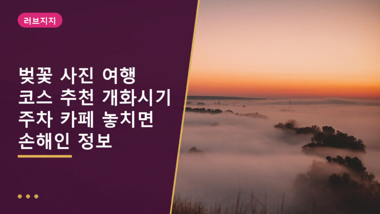 벚꽃 사진 여행 코스