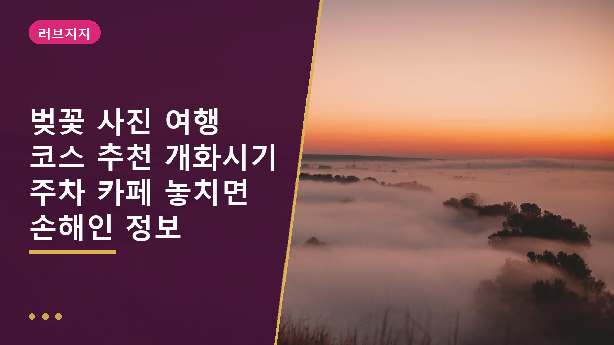 벚꽃 사진 여행 코스 추천 개화시기 주차 카페 놓치면 손해인 정보