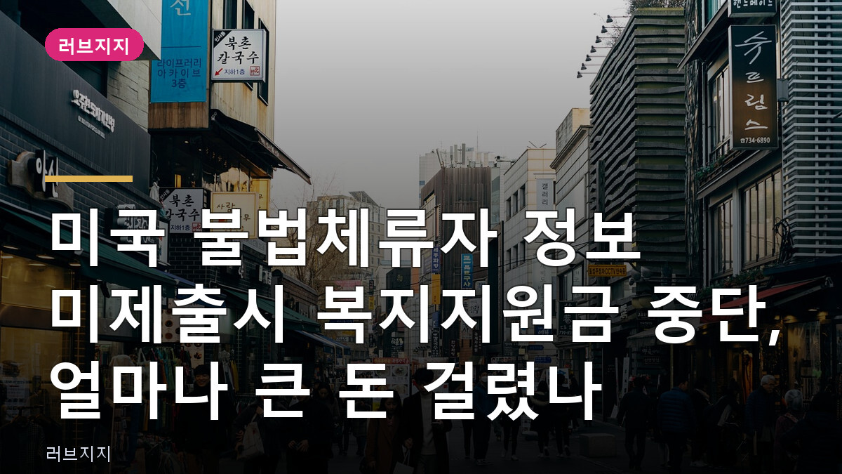 미국 불법체류자 정보 미제출시 복지지원금 중단, 얼마나 큰 돈 걸렸나