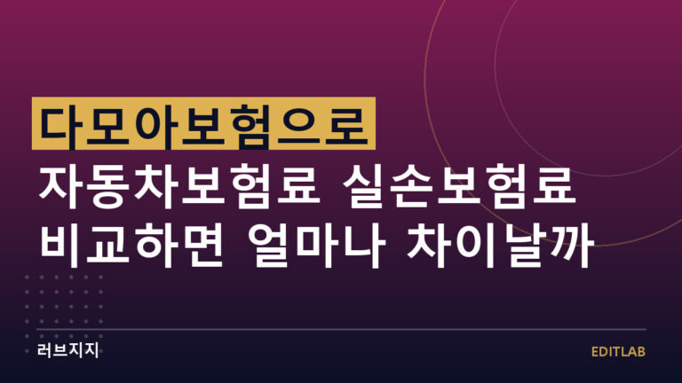다모아보험