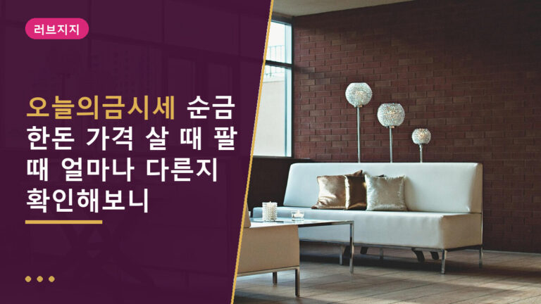 오늘의금시세