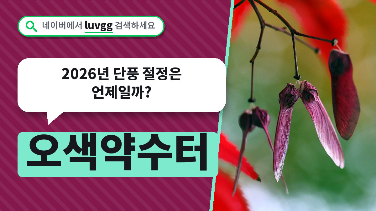 오색약수터 가는 법과 주차 정보, 2026년 단풍 절정은 언제일까?