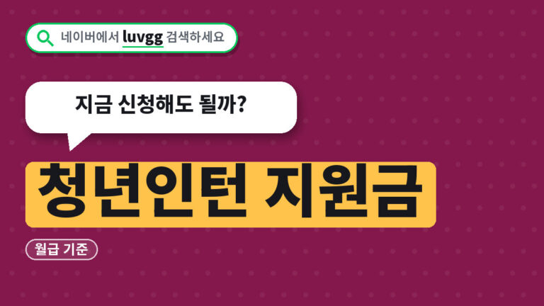 청년인턴 지원금