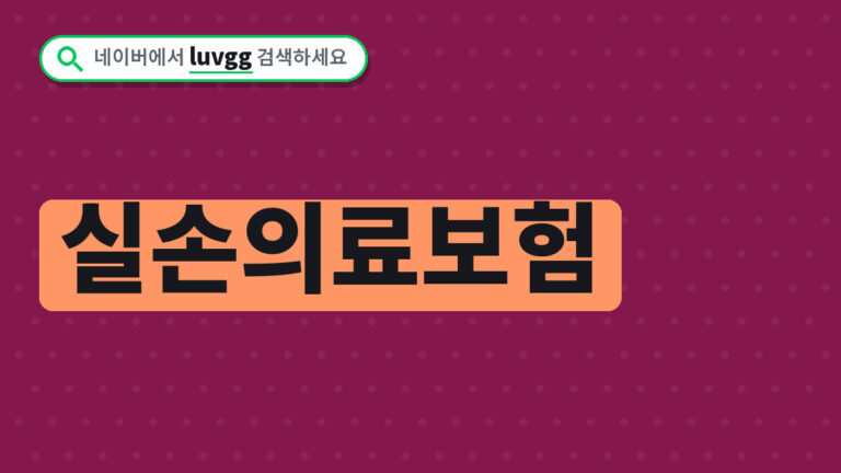 실손의료보험
