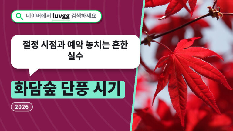 화담숲 단풍 시기