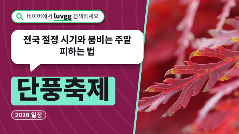 단풍축제