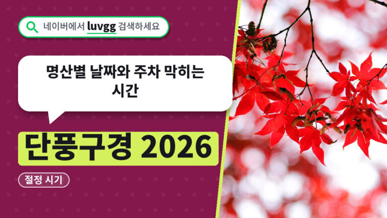 단풍구경 2026