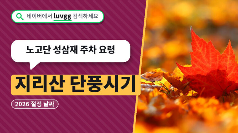 지리산 단풍시기