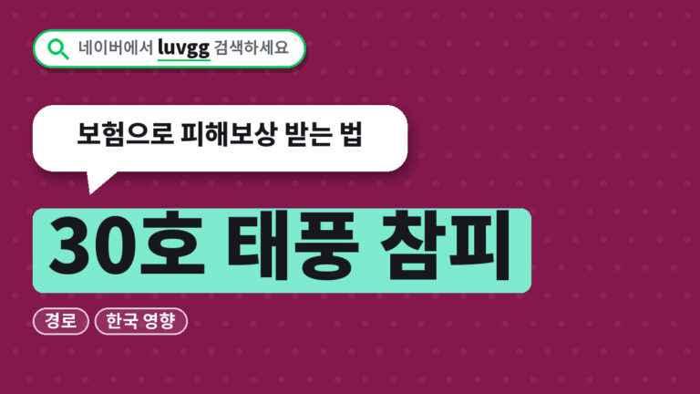 30호 태풍 참피