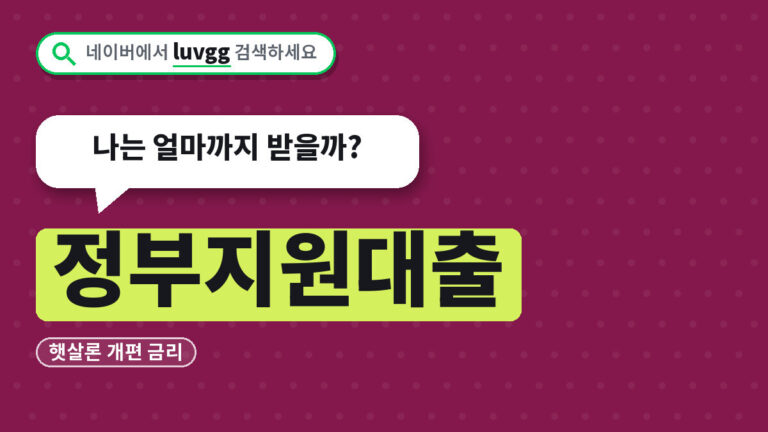 정부지원대출