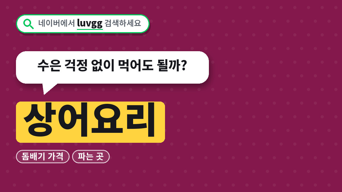 상어요리 돔배기 가격과 파는 곳, 수은 걱정 없이 먹어도 될까?