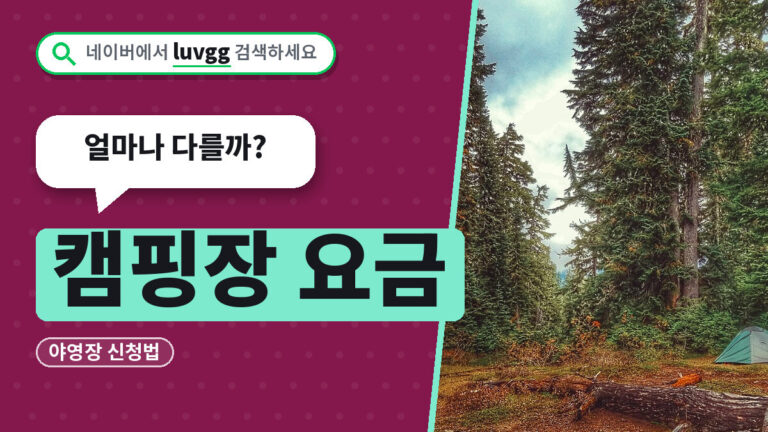 캠핑장 요금