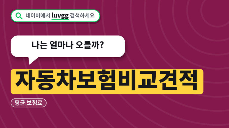 자동차보험비교견적