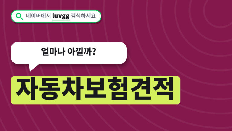 자동차보험견적