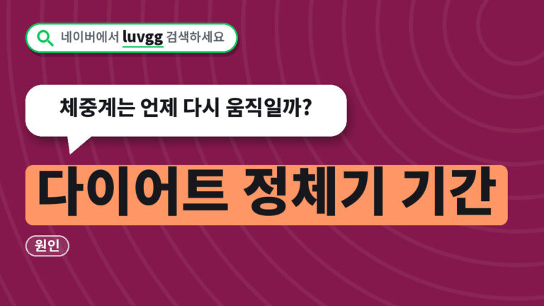 다이어트 정체기 기간