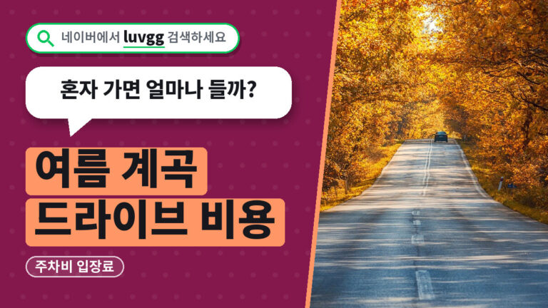여름 계곡 드라이브 비용
